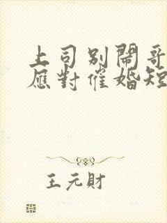 上司别闹哥只想应对催婚短剧