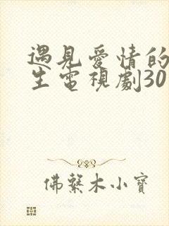 遇见爱情的利先生电视剧30集