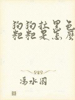 狗狗拉黑色的稀粑粑是怎么回事儿啊