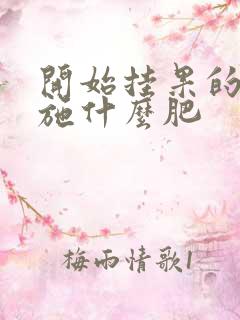 开始挂果的辣椒施什么肥