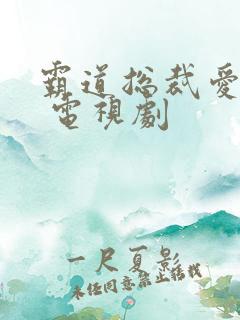 霸道总裁爱上我 电视剧