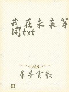 我在未来等你刘同txt