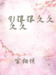 91狠狠久久久久久