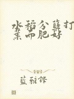 水稻分蘖打什么叶面肥好
