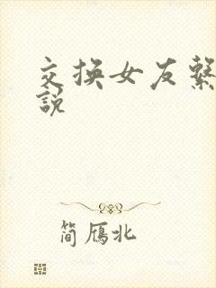 交换女友系列小说