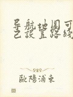导航地图可以自己设置路线吗