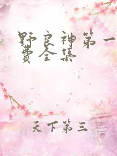野良神第一季免费全集
