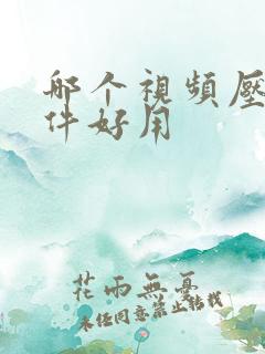 哪个视频压缩软件好用