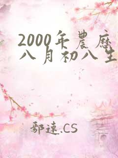 2000年农历八月初八生辰八字