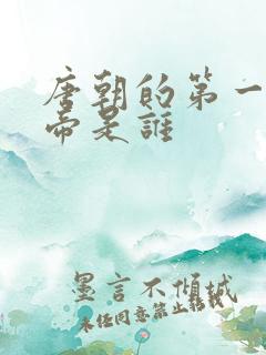 唐朝的第一个皇帝是谁