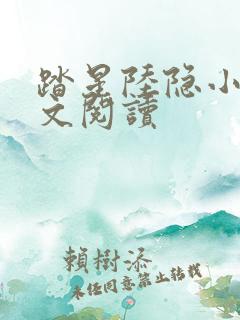 踏星陆隐小说全文阅读