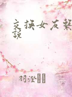 交换女友系列小说