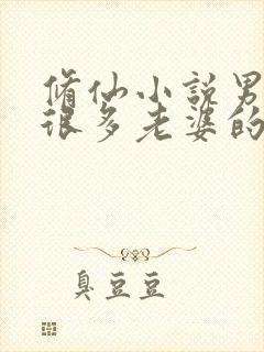 修仙小说男主有很多老婆的