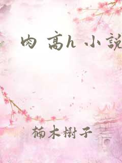 肉 高h 小说 肉 高h 小说