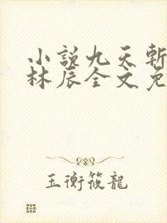 小说九天斩神诀林辰全文免费阅读