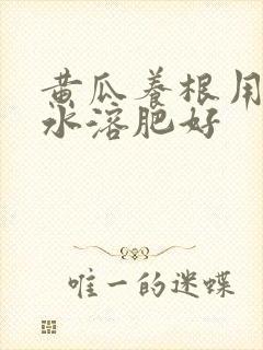 黄瓜养根用什么水溶肥好 黄瓜养根用什么水溶肥好