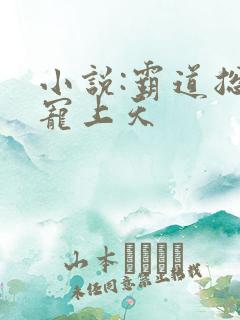 小说:霸道总裁宠上天