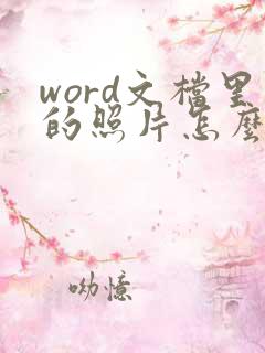 word文档里的照片怎么压缩大小
