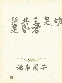 楚共王是明君还是昏君