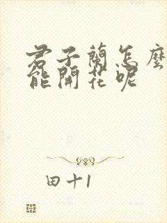 君子兰怎么养才能开花呢