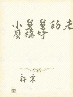小舅舅的老婆怎么称呼