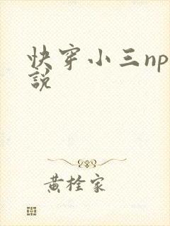 快穿小三np小说
