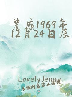 农历1969年12月24日辰时八字