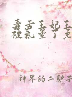 毒舌王妃王爷又被气晕了免费阅读 毒舌王妃王爷又被气晕了免费阅读