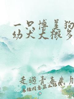 一只博美狗纯种幼犬大概多少钱