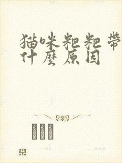 猫咪粑粑带血是什么原因