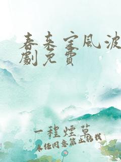 春来定风波电视剧免费