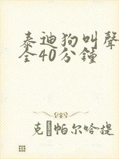 泰迪狗叫声音大全40分钟