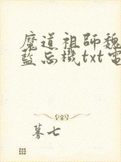 魔道祖师魏无羡蓝忘机txt电子书