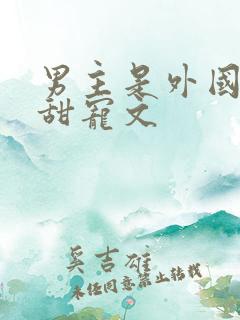 男主是外国人的甜宠文 男主是外国人的甜宠文