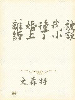 离婚后我被前夫缠上了小说 离婚后我被前夫缠上了小说