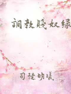 调教贱奴绿奴