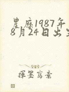 农历1987年8月24日出生八字算命