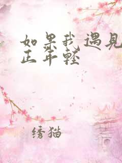 如果我遇见你时正年轻