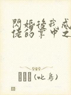 闪婚后我成了大佬的掌中之物在哪个平台
