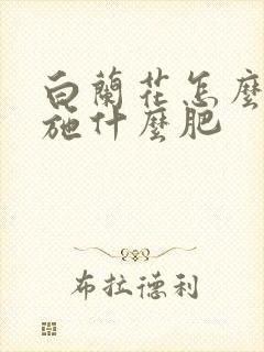白兰花怎么施肥施什么肥