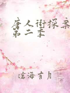 唐人街探案网剧第二季