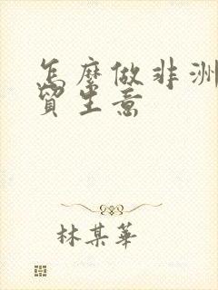 怎么做非洲的外贸生意