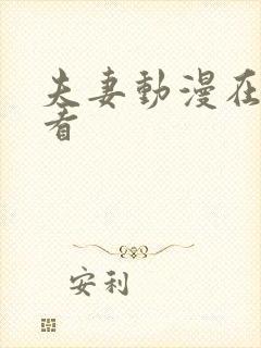 夫妻动漫在线观看