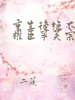 重生后绝不嫁给权臣宁芙宗肆的小说