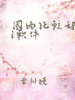 国内比较好的ai软件