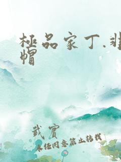 极品家丁.非绿帽