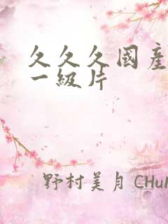 久久久国产精品一级片