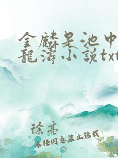 金麟是池中物侯龙涛小说txt