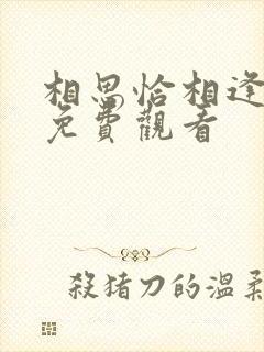 相思恰相逢短剧免费观看