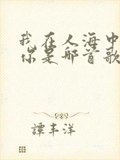 我在人海中遇见你是哪首歌的歌词